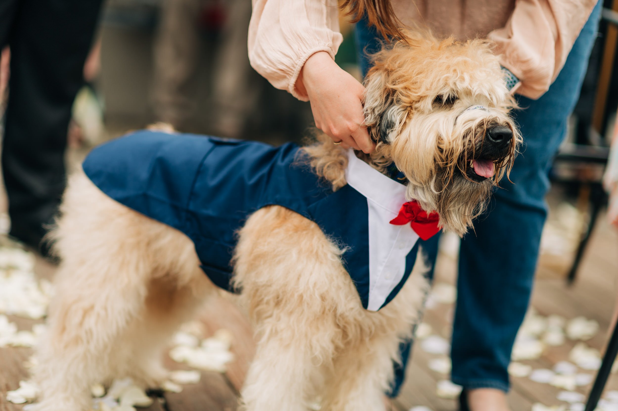 namu-durham-restaurant-ceremony-photos
