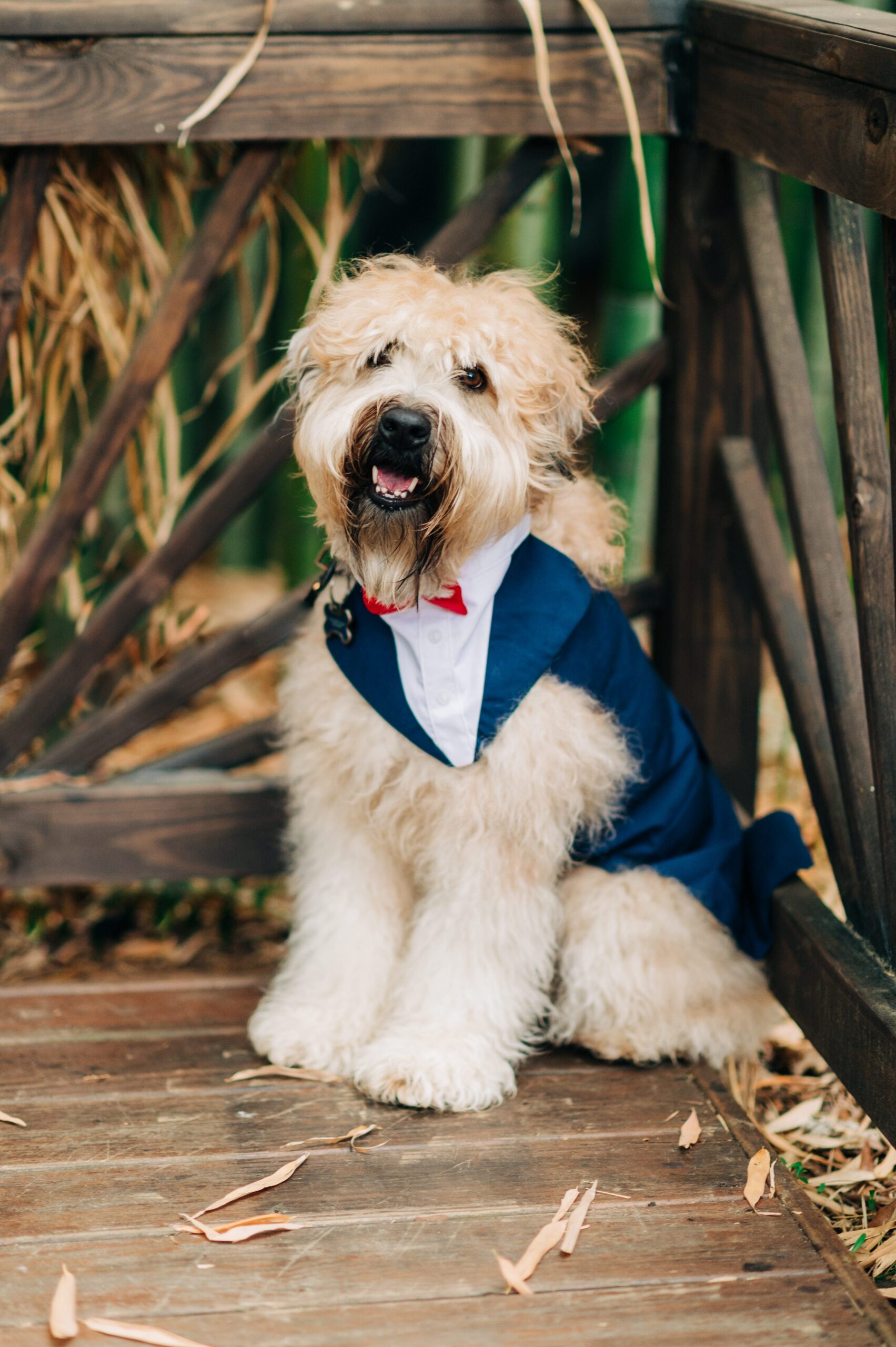 durham-wedding-photographer